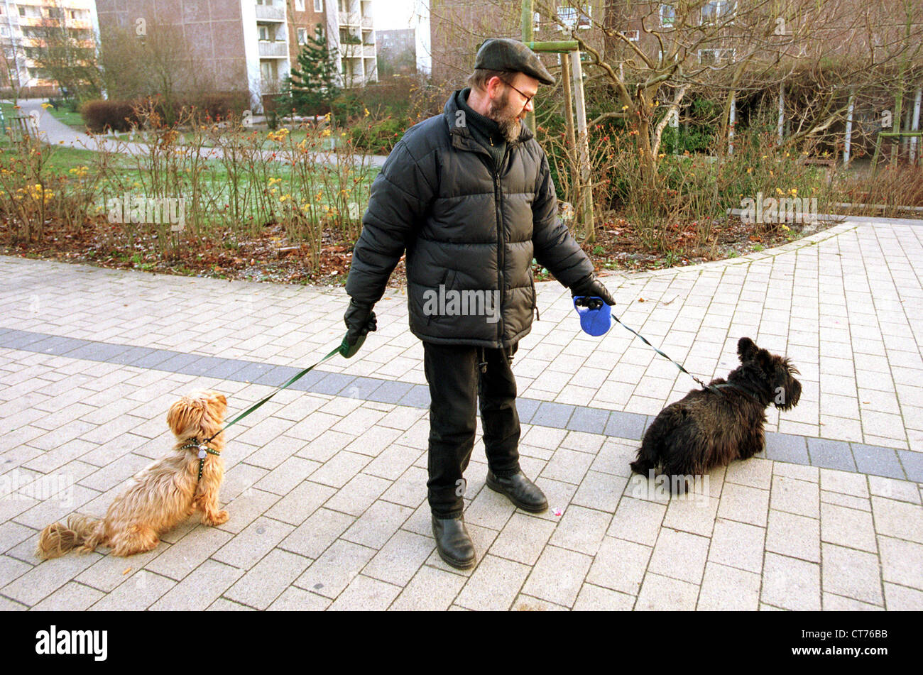 Man with two dogs on a leash Stock Photo Alamy