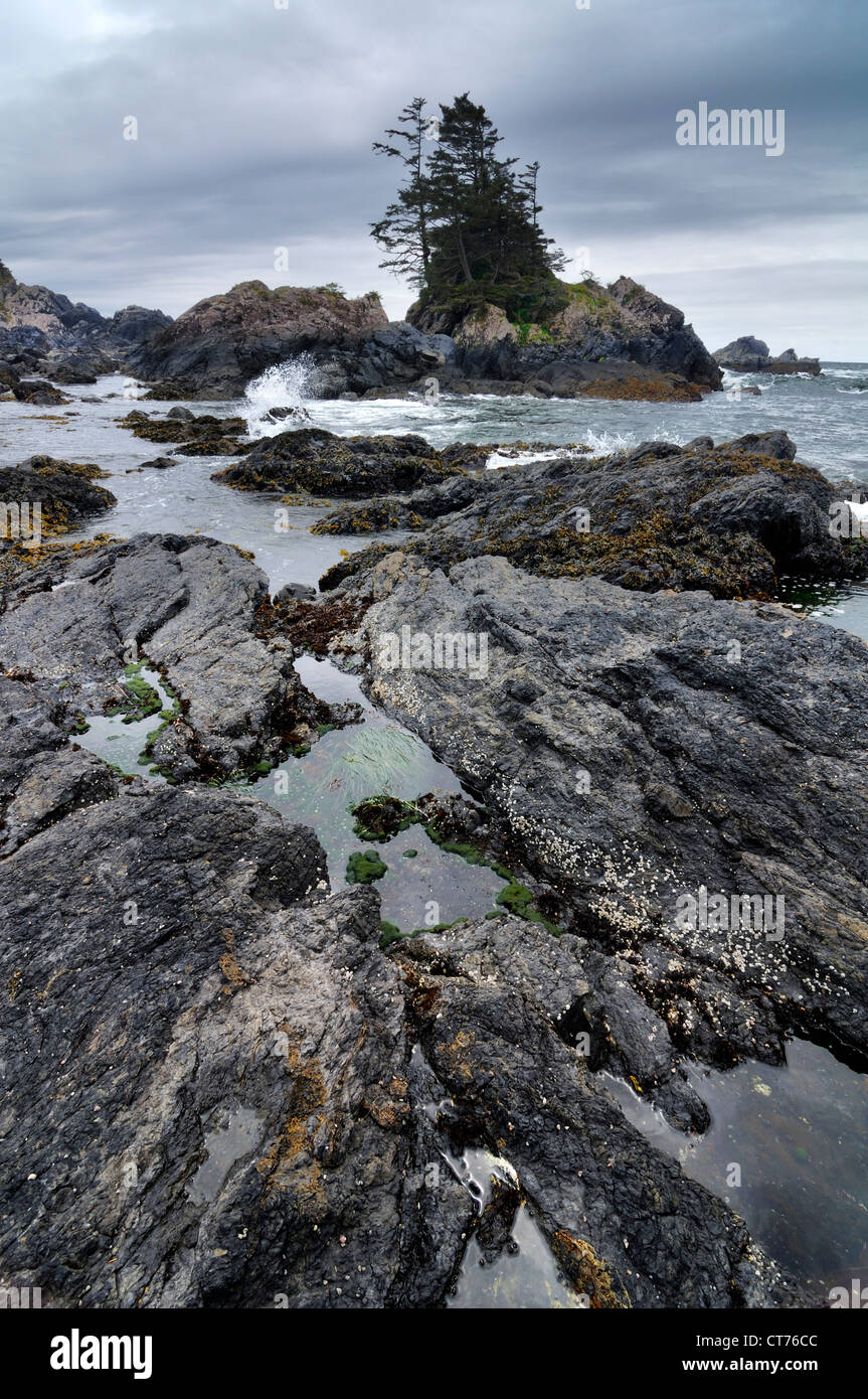 rocks on coast at pacific rim national park Stock Photo