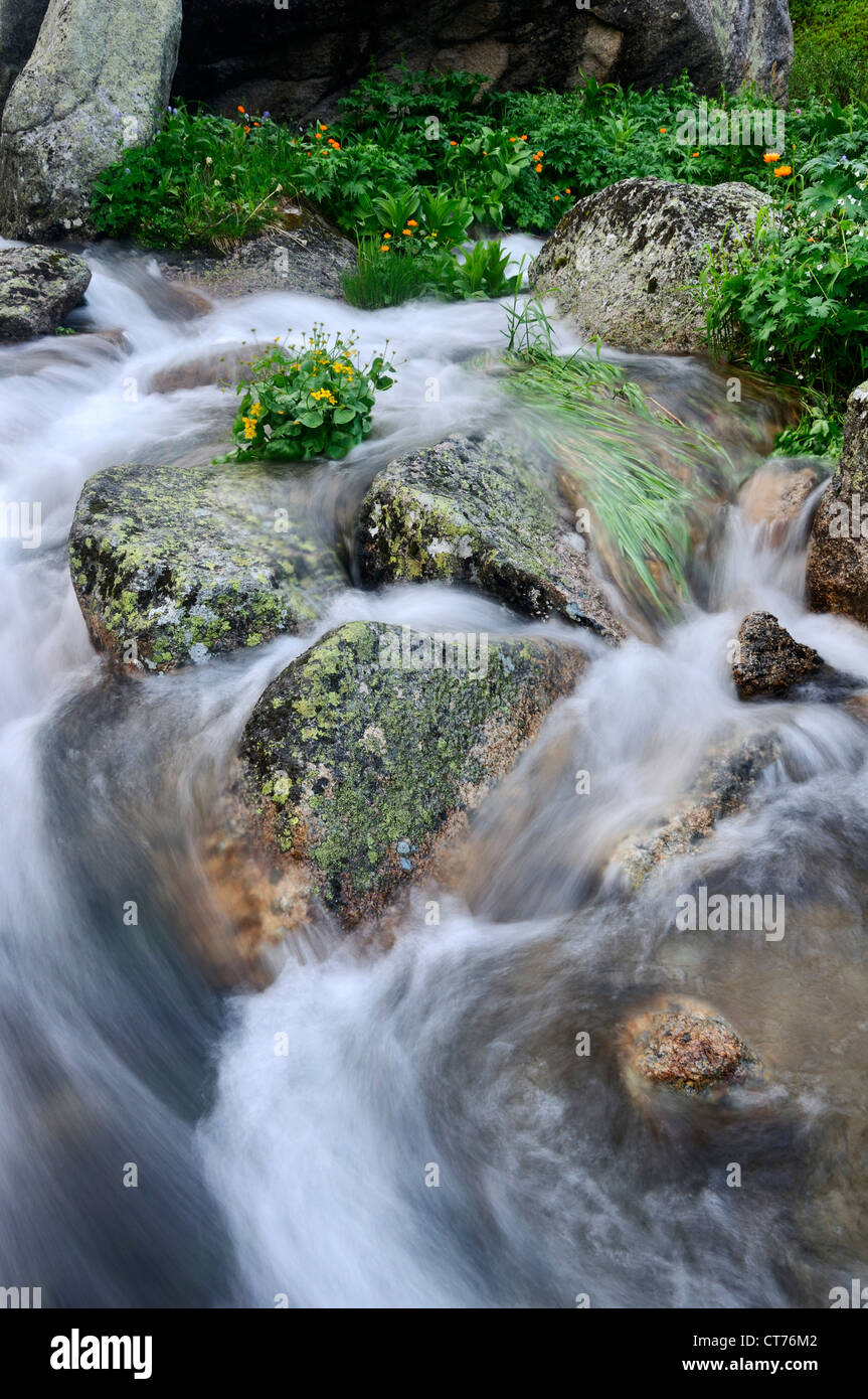 close-up of nizhnyaya buiba stream in ergaki national park Stock Photo