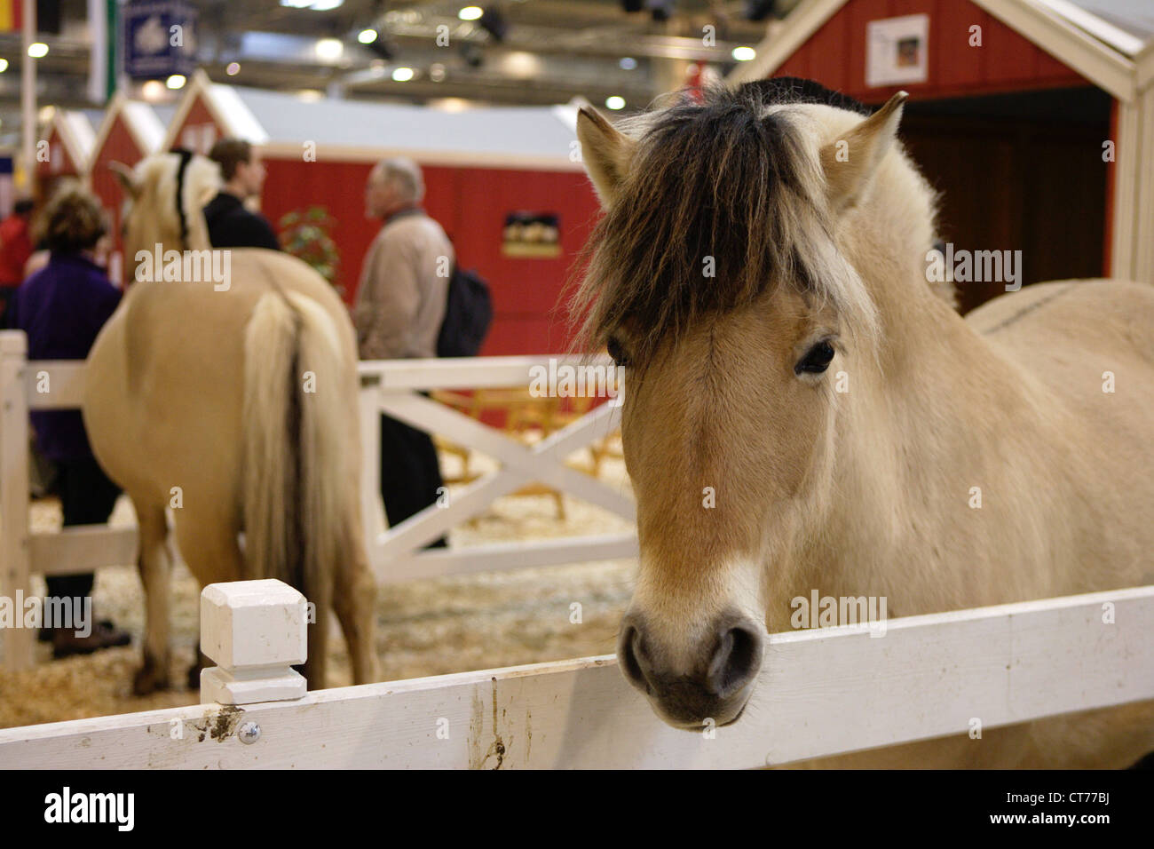 Food, EQUITANA World Equestrian Fair Stock Photo Alamy