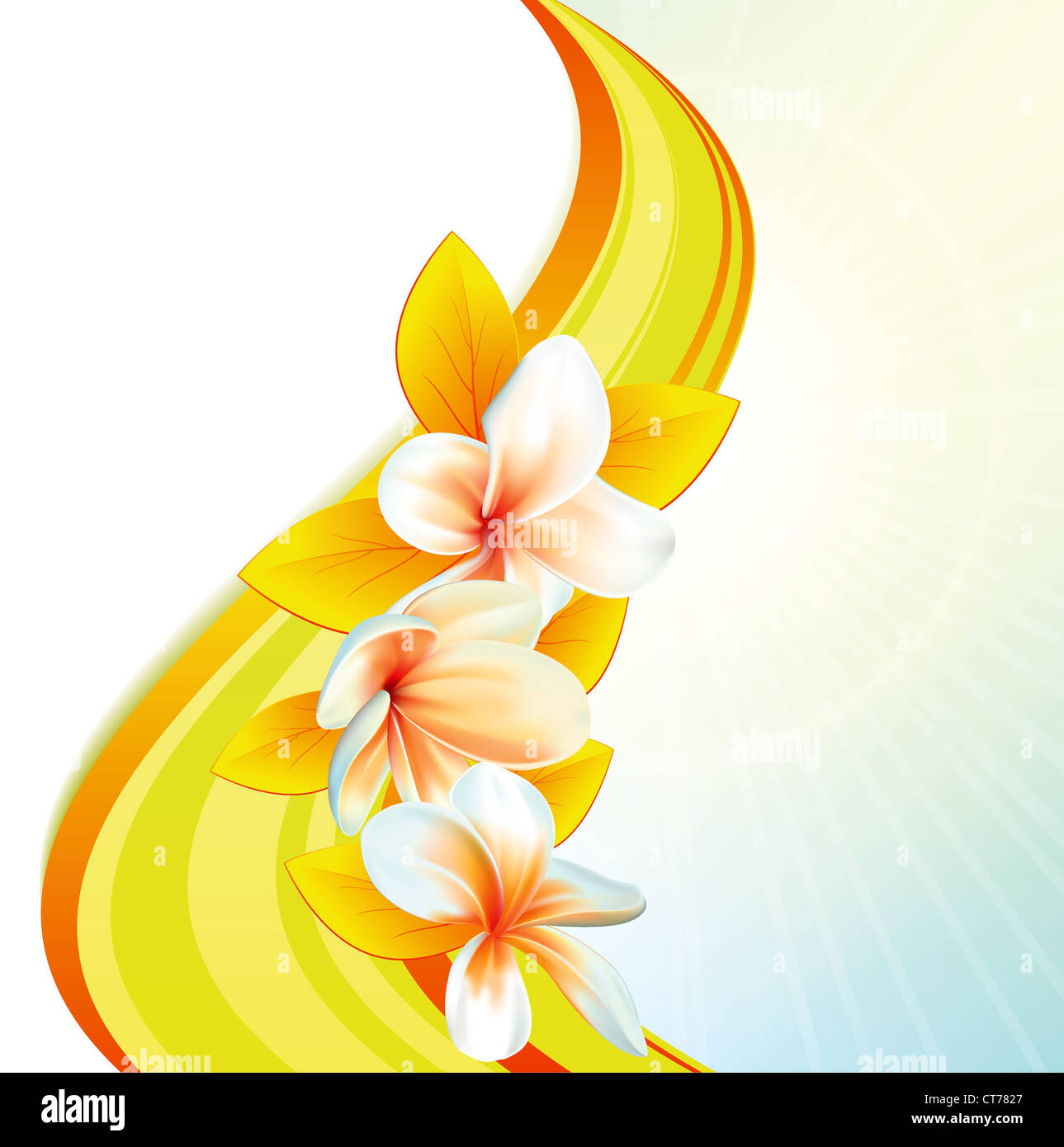 vector summer background with floral Stock Photo - Alamy