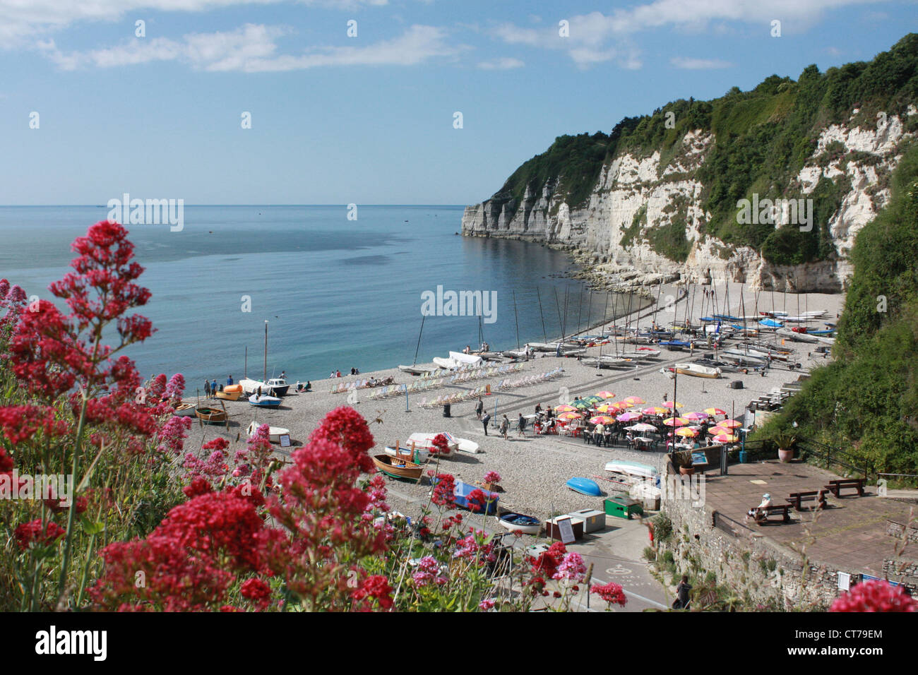 The beach with fishing boats from the Jubilee Memorial Gardens at Beer fishing village, East Devon, UK Stock Photo