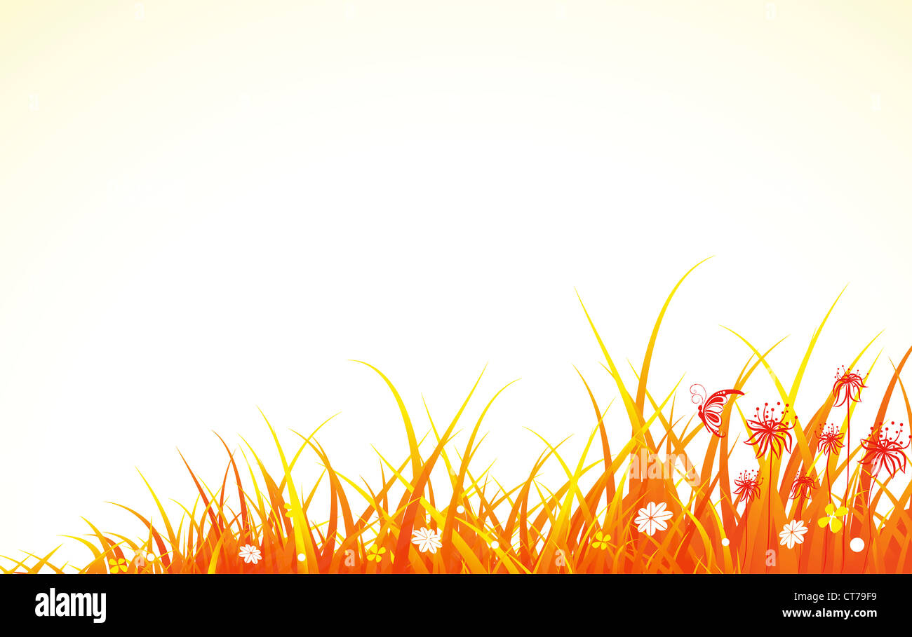 vector summer background with floral Stock Photo - Alamy