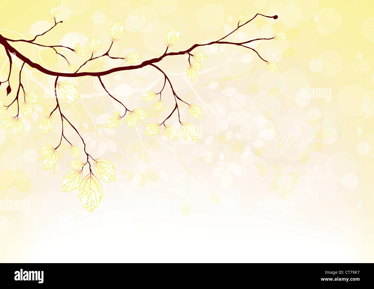 vector summer background with floral Stock Photo - Alamy