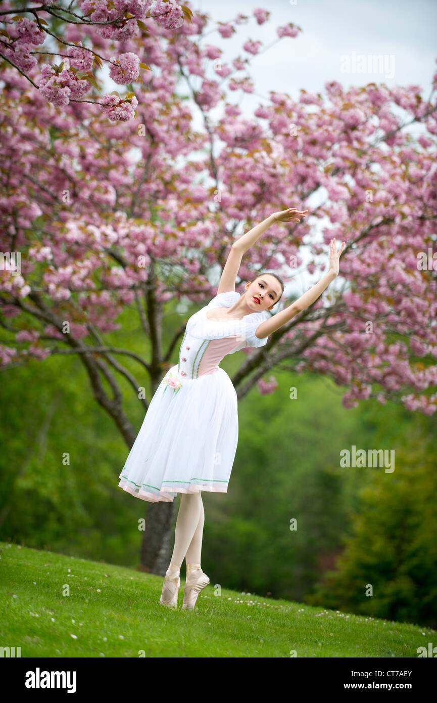ballerina trainers