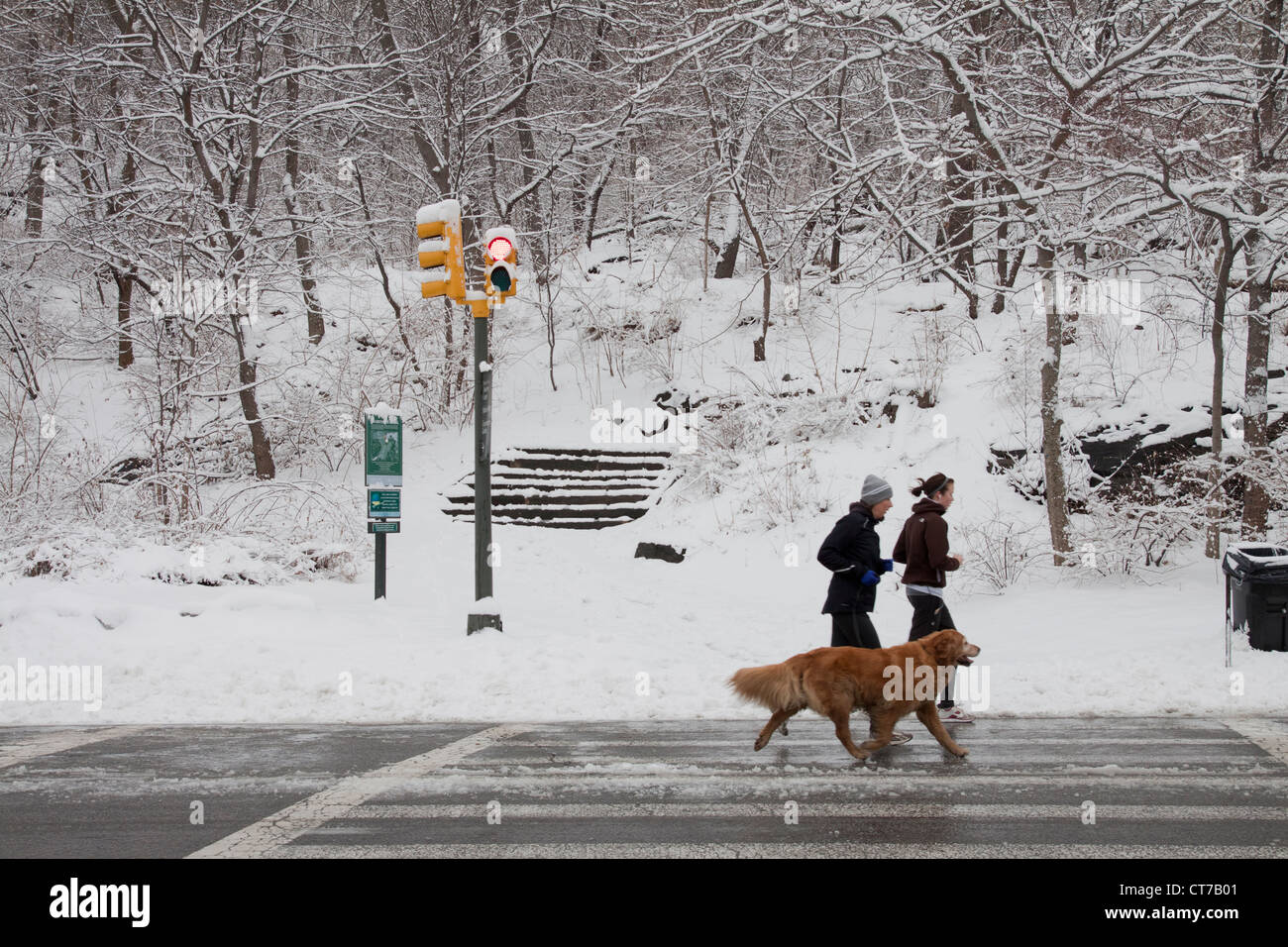 A couple walking their dog in a snow covered Central park in New York