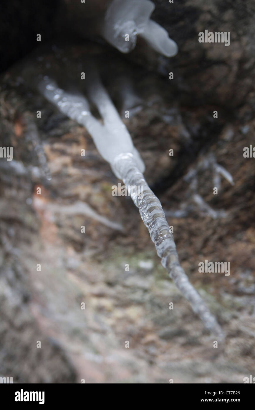 Cold freezing weather hi-res stock photography and images - Alamy