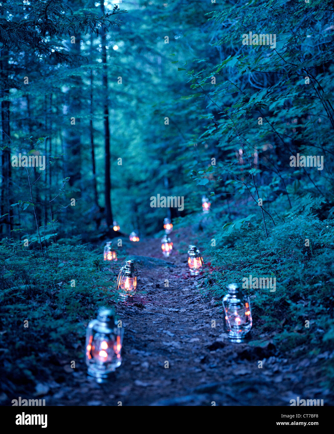 Lanterns marking a path through the woods Stock Photo