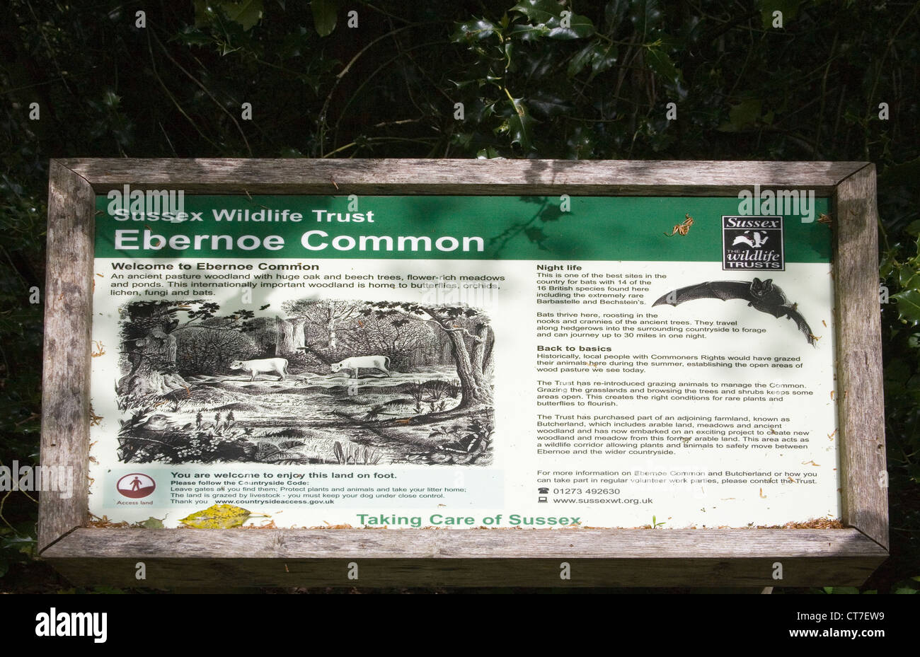 wildlife trust sign on the ancient common of ebernoe Stock Photo