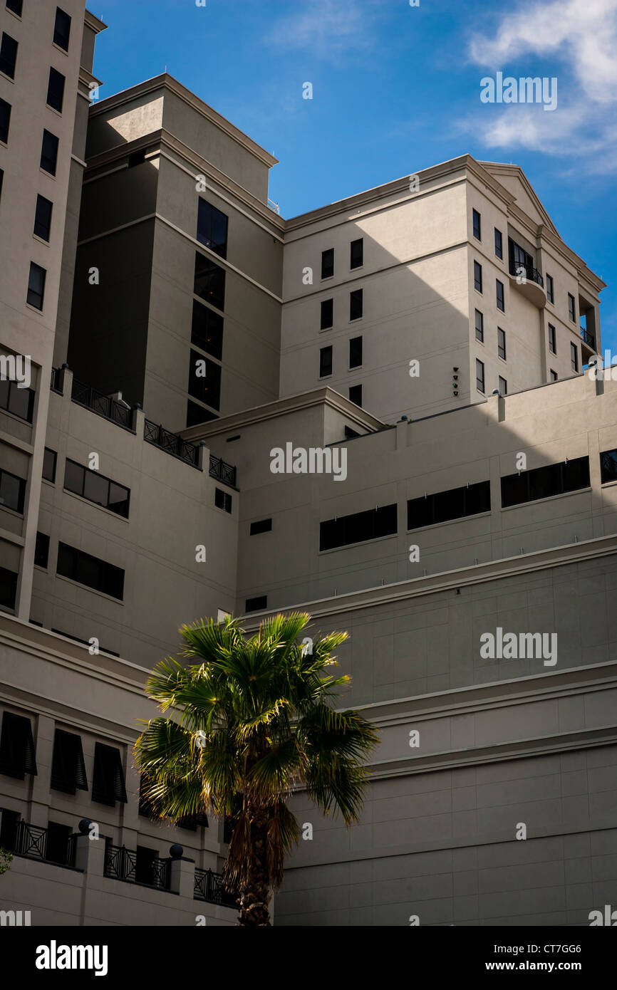 A palm tree decorates an urban area in downtown Sarasota, Florida. Stock Photo