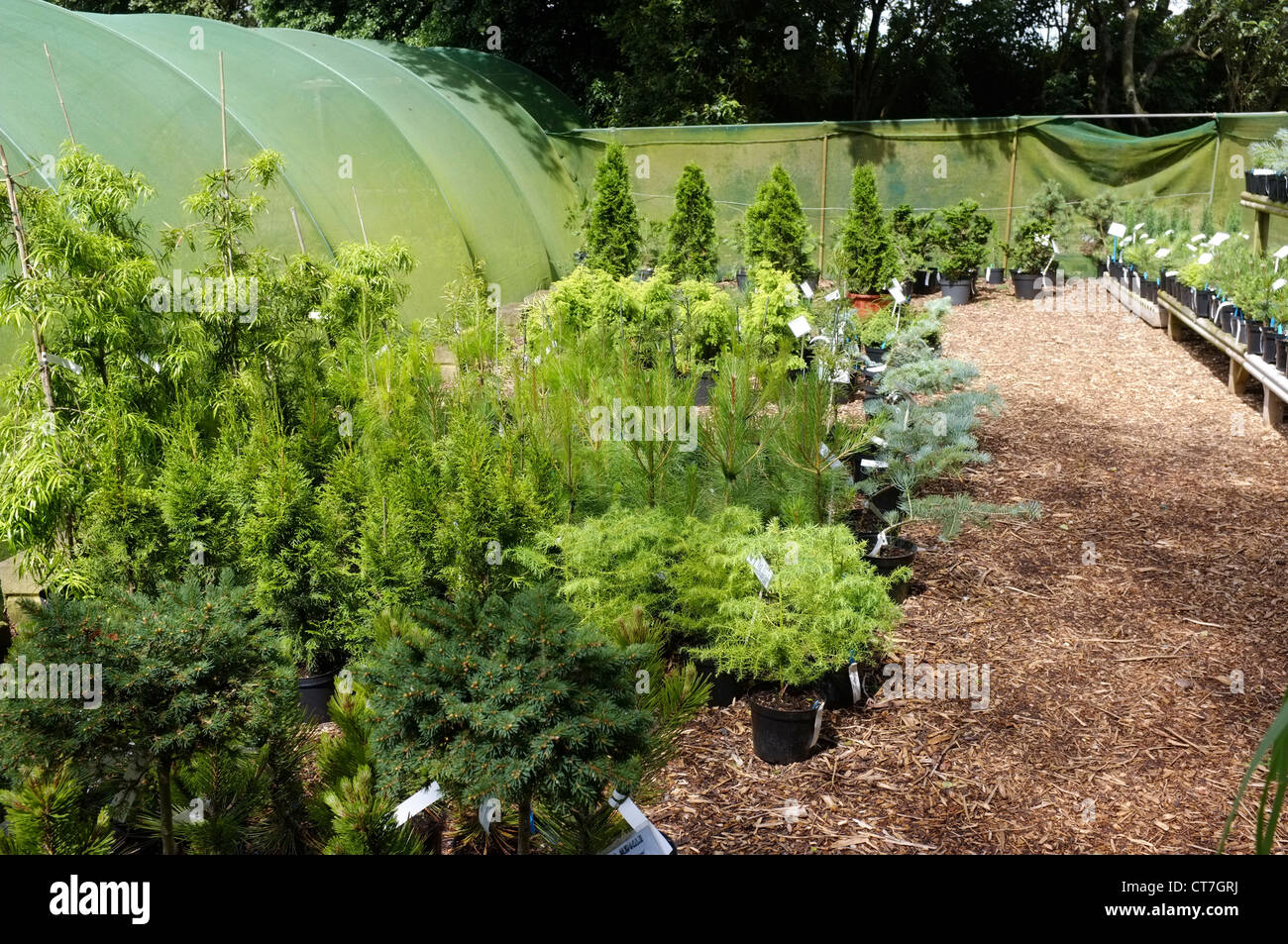 Plant nursery with shade protection to protect from the sunlight