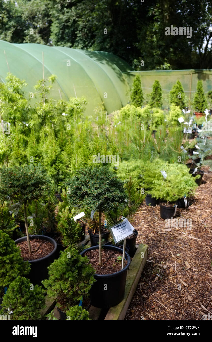 Plant nursery with shade protection to protect from the sunlight