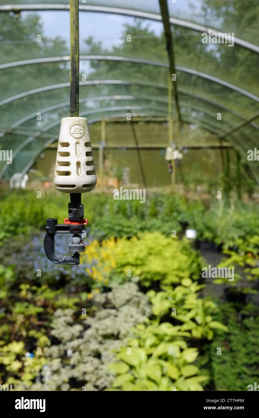 Water sprinkler system in a commercial plant growing nursery Stock