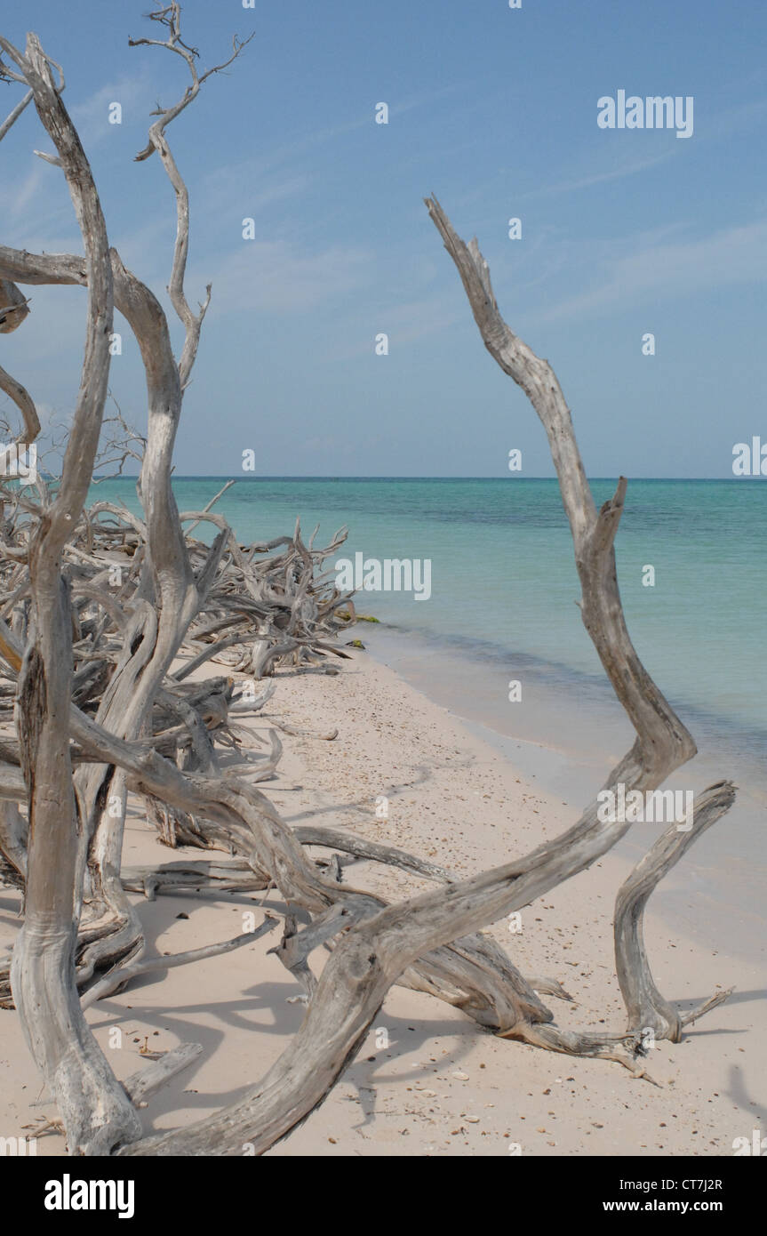 Beach in Cuba with a blue sky under a warm sun on a great day Stock ...