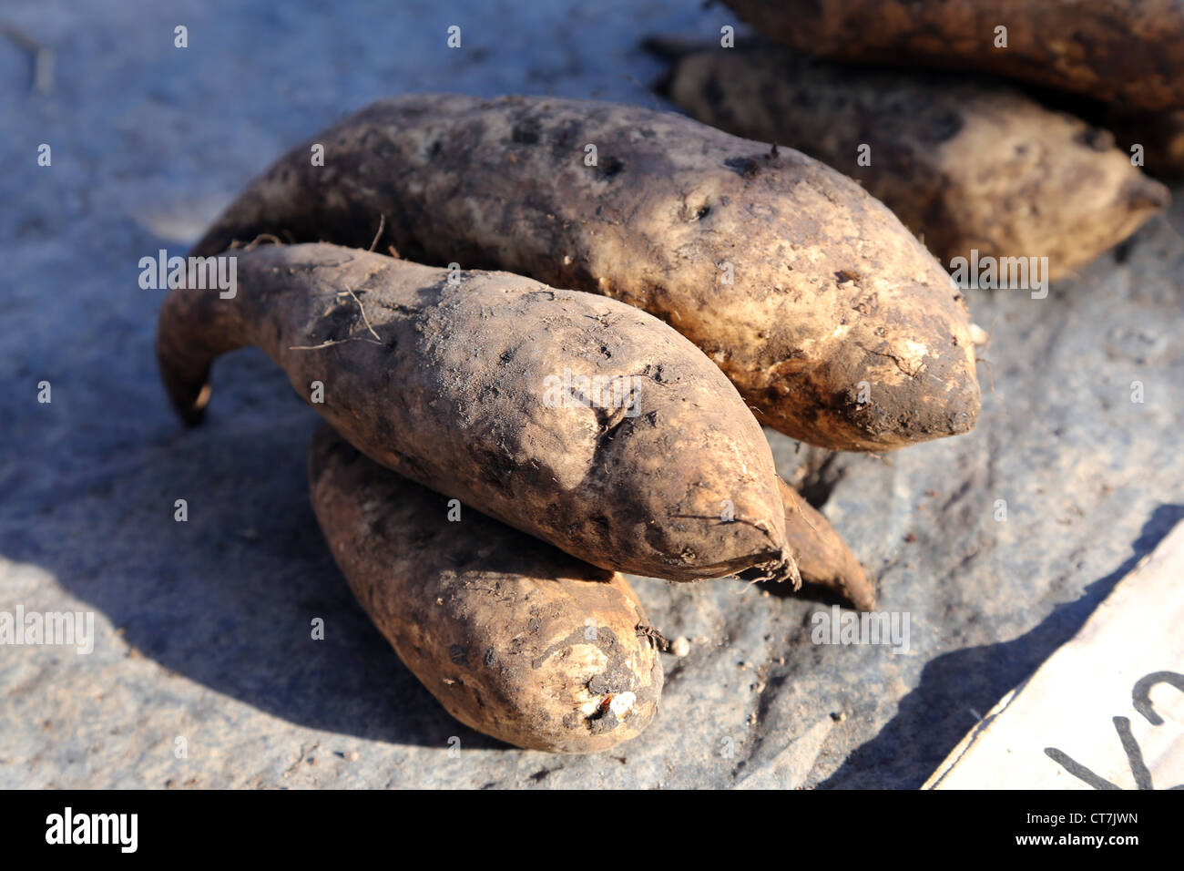 Yams hires stock photography and images Alamy