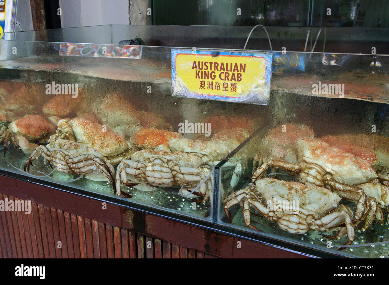 Live King Crabs, Boat Quay, Singapore Stock Photo Alamy
