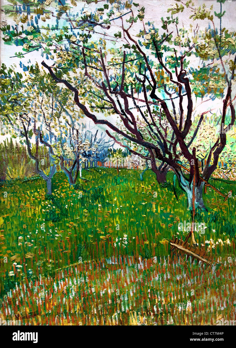 The Flowering Orchard 1888 Vincent van Gogh 18531890 Dutch Netherlands