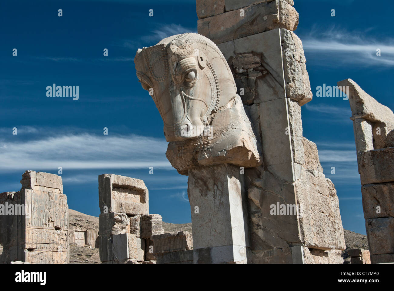 Persian Horse, Persepolis, Shiraz, Iran Stock Photo