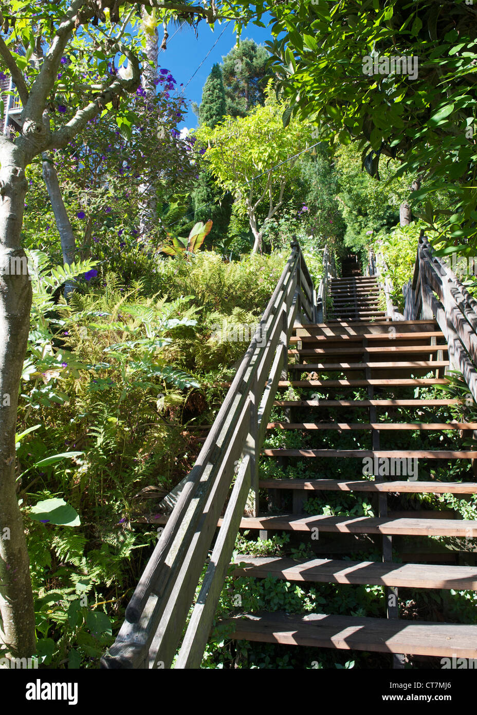 Filbert street steps san francisco stairs stairway hires stock