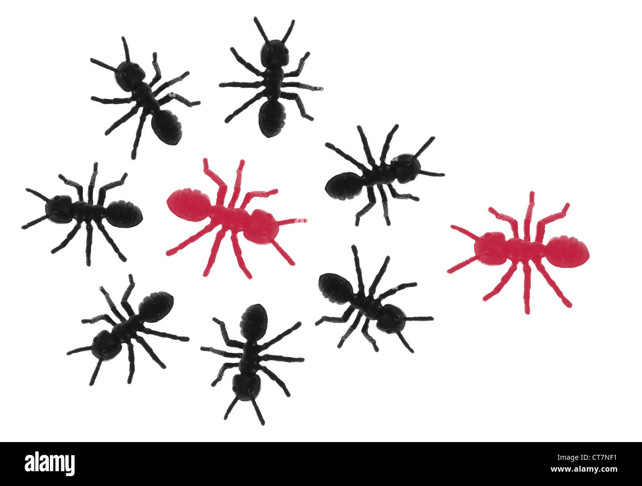 plastic toy ants