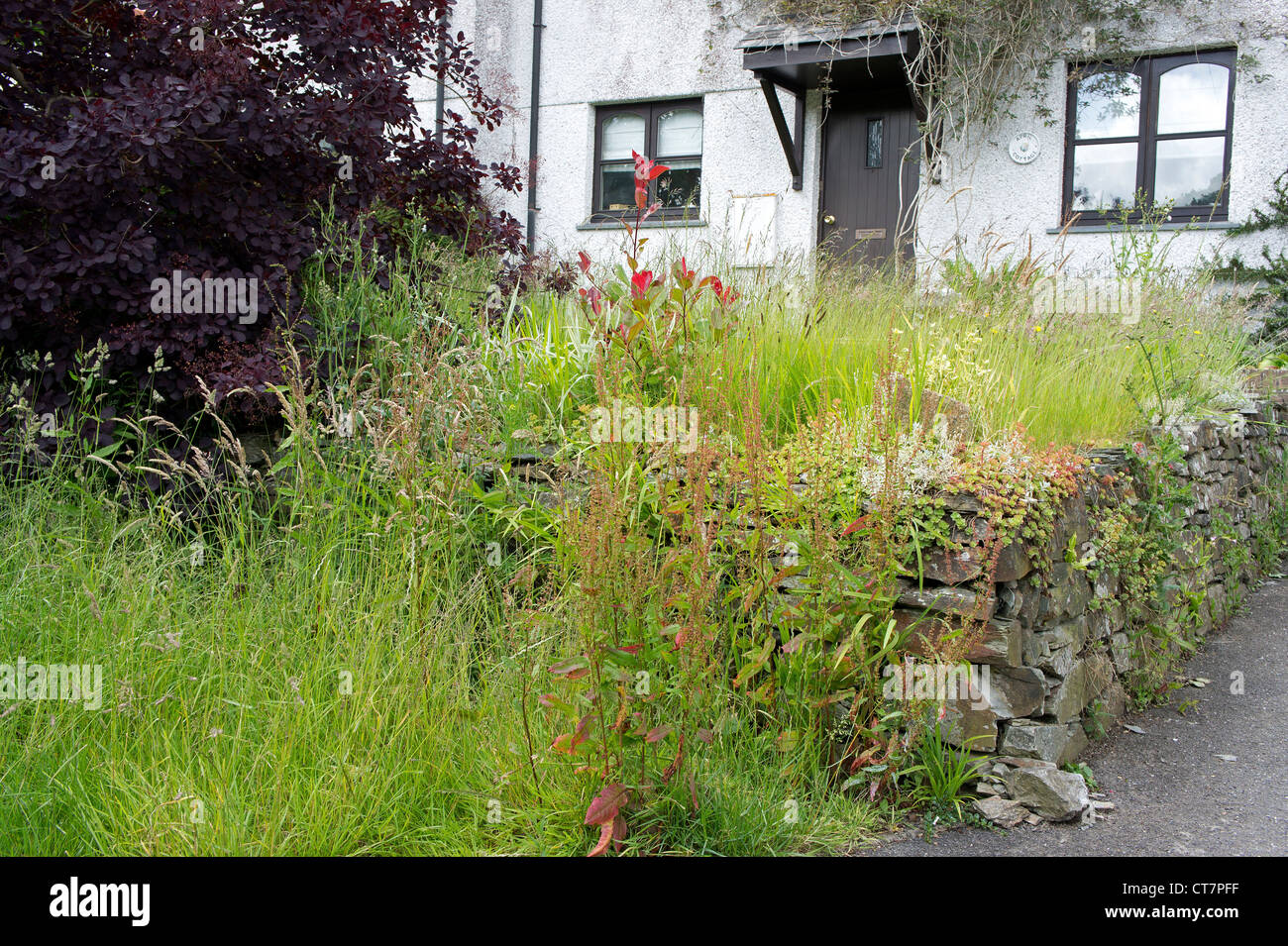 An overgrown cottage garden Stock Photo