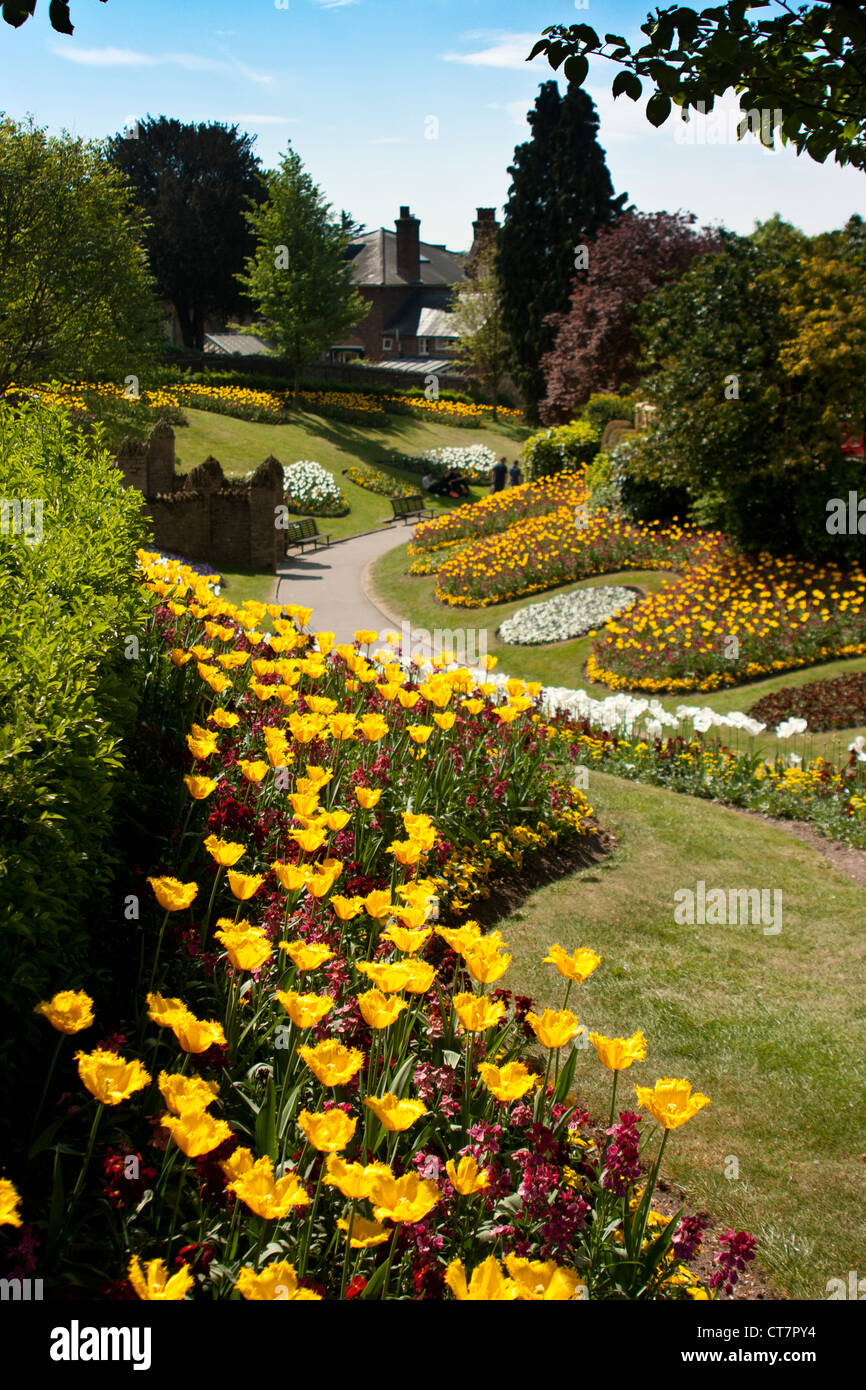 Flowerbeds in Castle Grounds, Guildford, Surrey Stock Photo