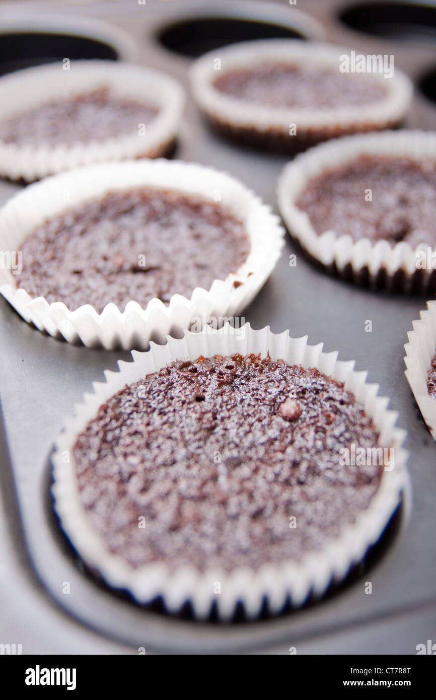 Freshly baked chocolate cupcakes Stock Photo