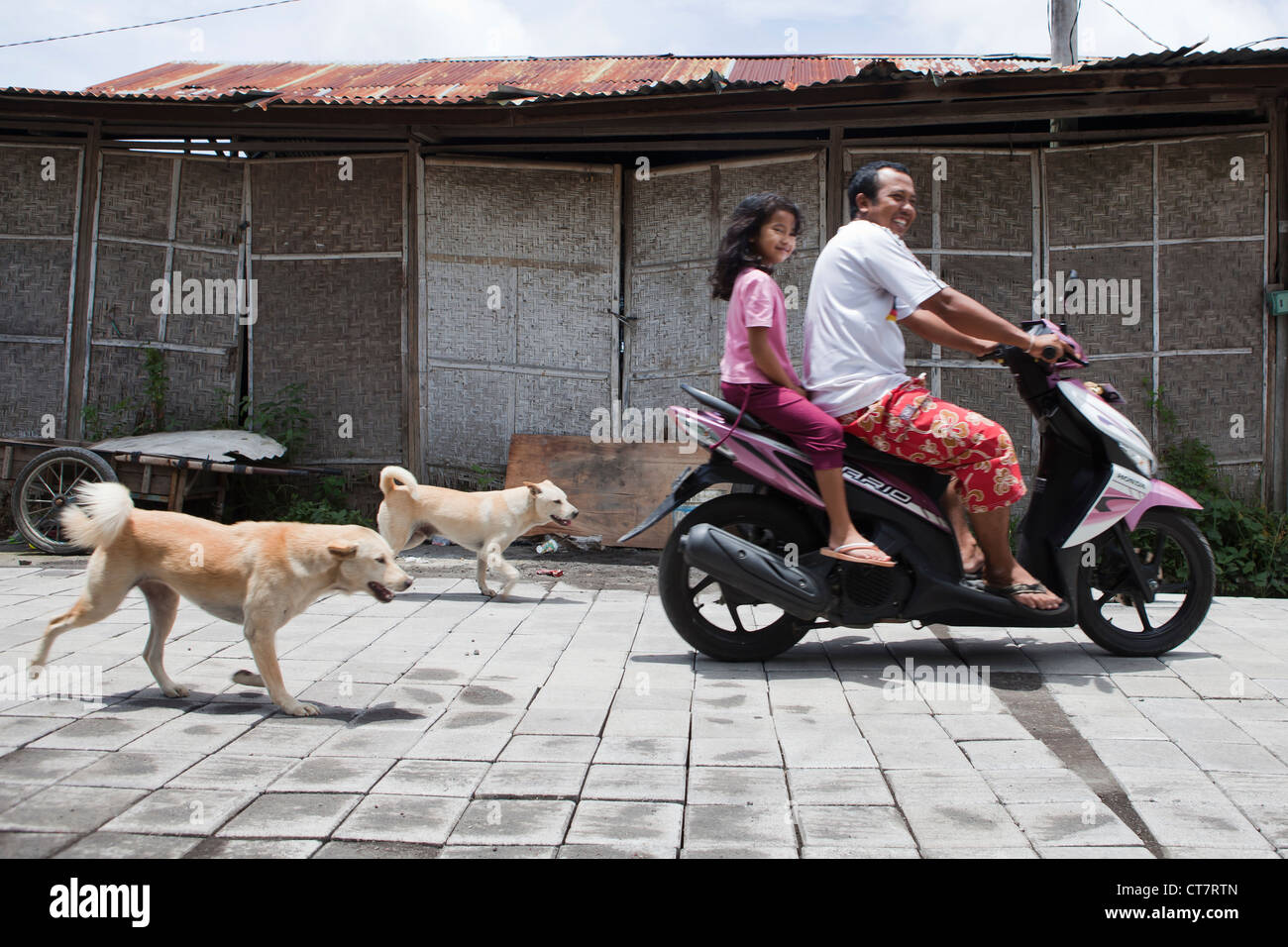 One of the most popular forms of transport on the Indonesian island of Bali Stock Photo