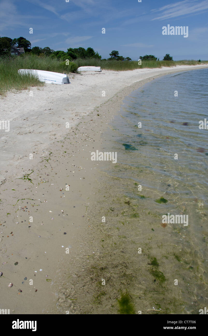 Massachusetts, Martha's Vineyard, Vineyard Haven. Sandy beach Stock