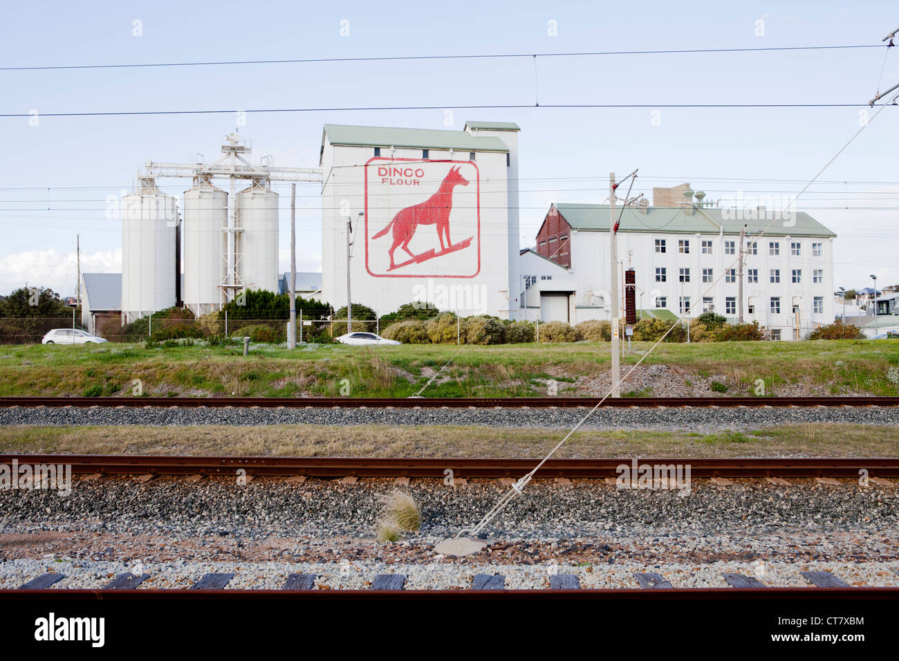 Dingo flour hi-res stock photography and images - Alamy