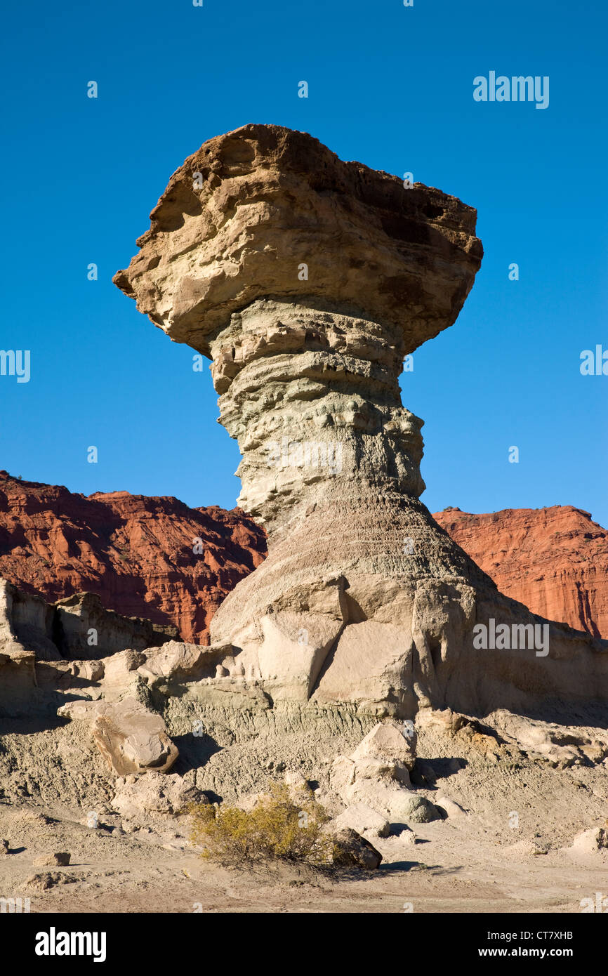 El Hongo or The Mushroom Stock Photo Alamy