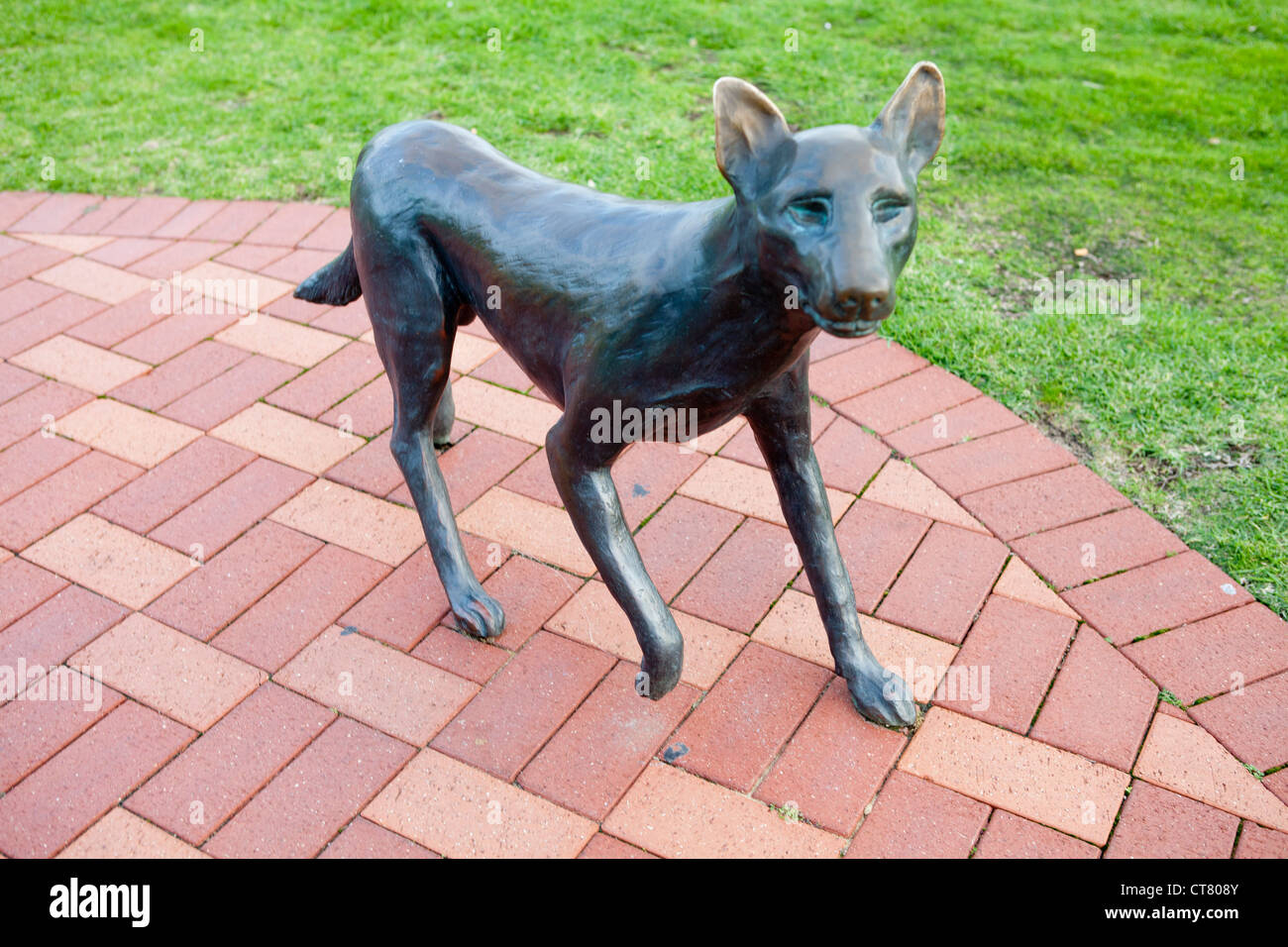 Bronze dog statue in Freemantle in Perth, Western Australia Stock Photo