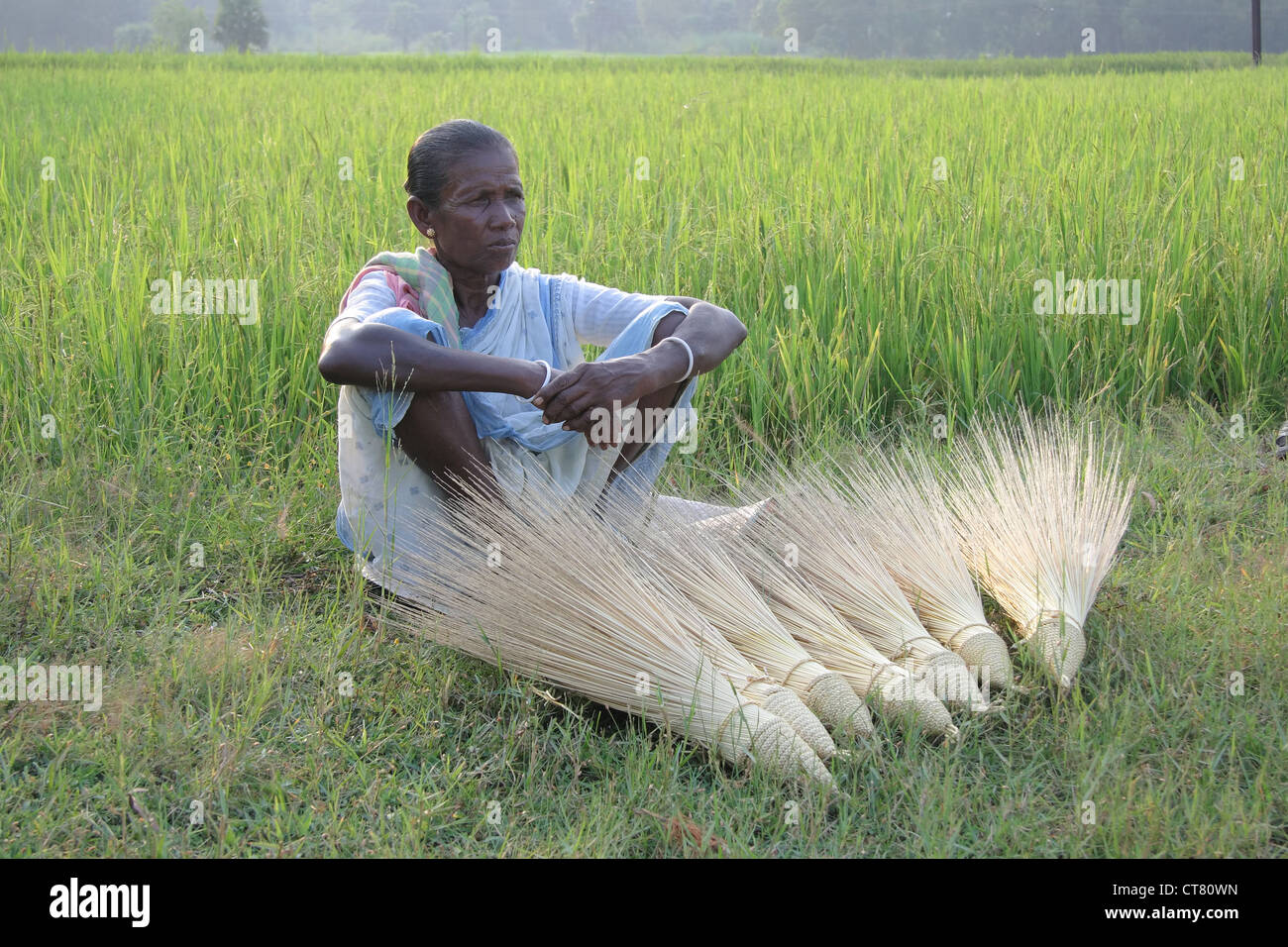 Broomstick seller hires stock photography and images Alamy