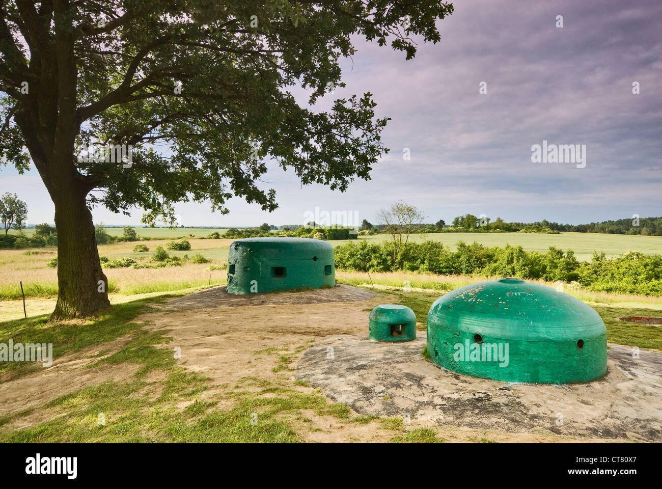 Bunkers at Ostwall Fortified Region German WW2 fortifications open-air museum near village of Pniewy Lubuskie Voivodeship Poland Stock Photo