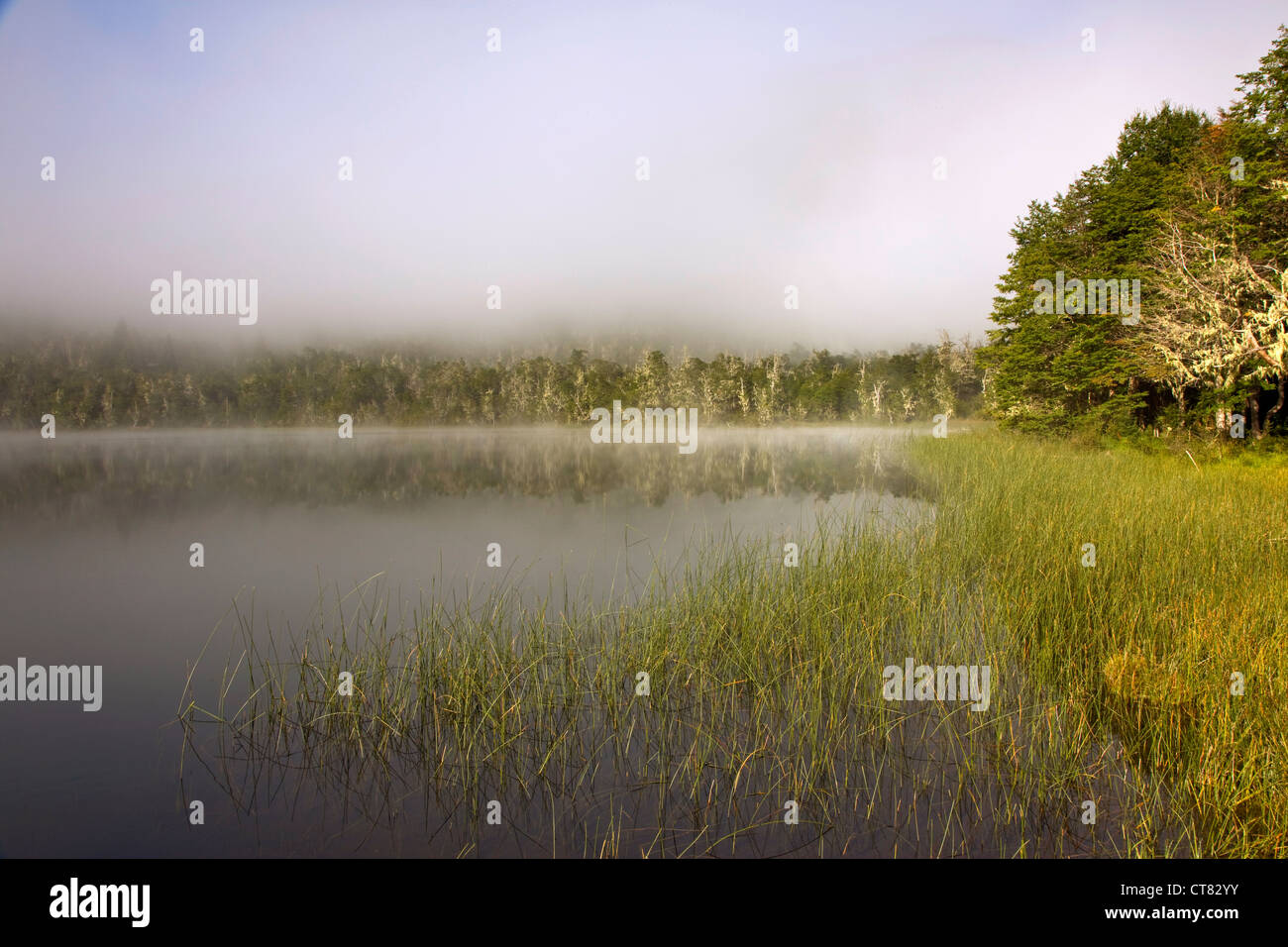 Lago hermoso hi-res stock photography and images - Alamy