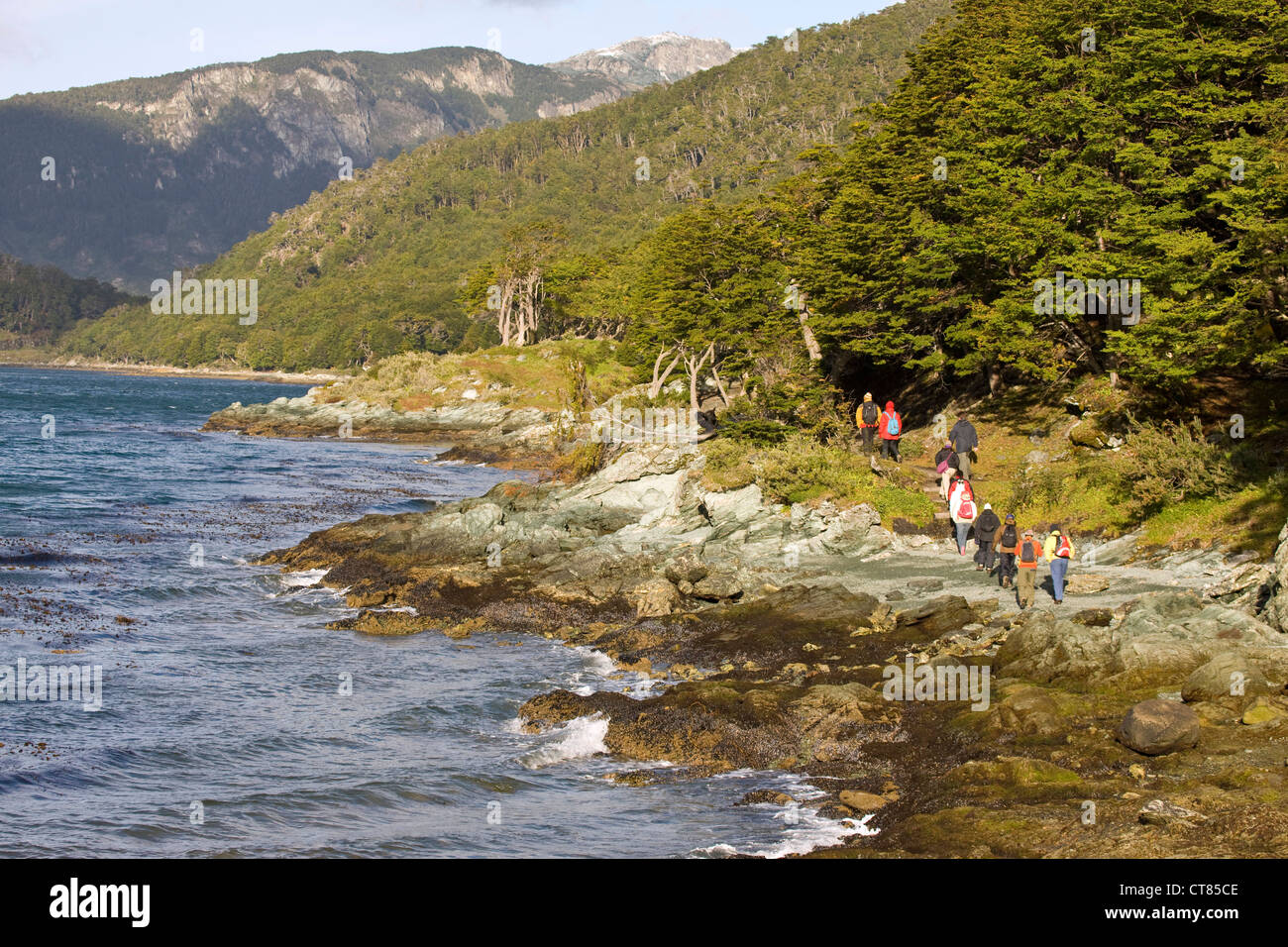 Bahia Ensenada in Parque Nacional Tierra del Fuego Stock Photo