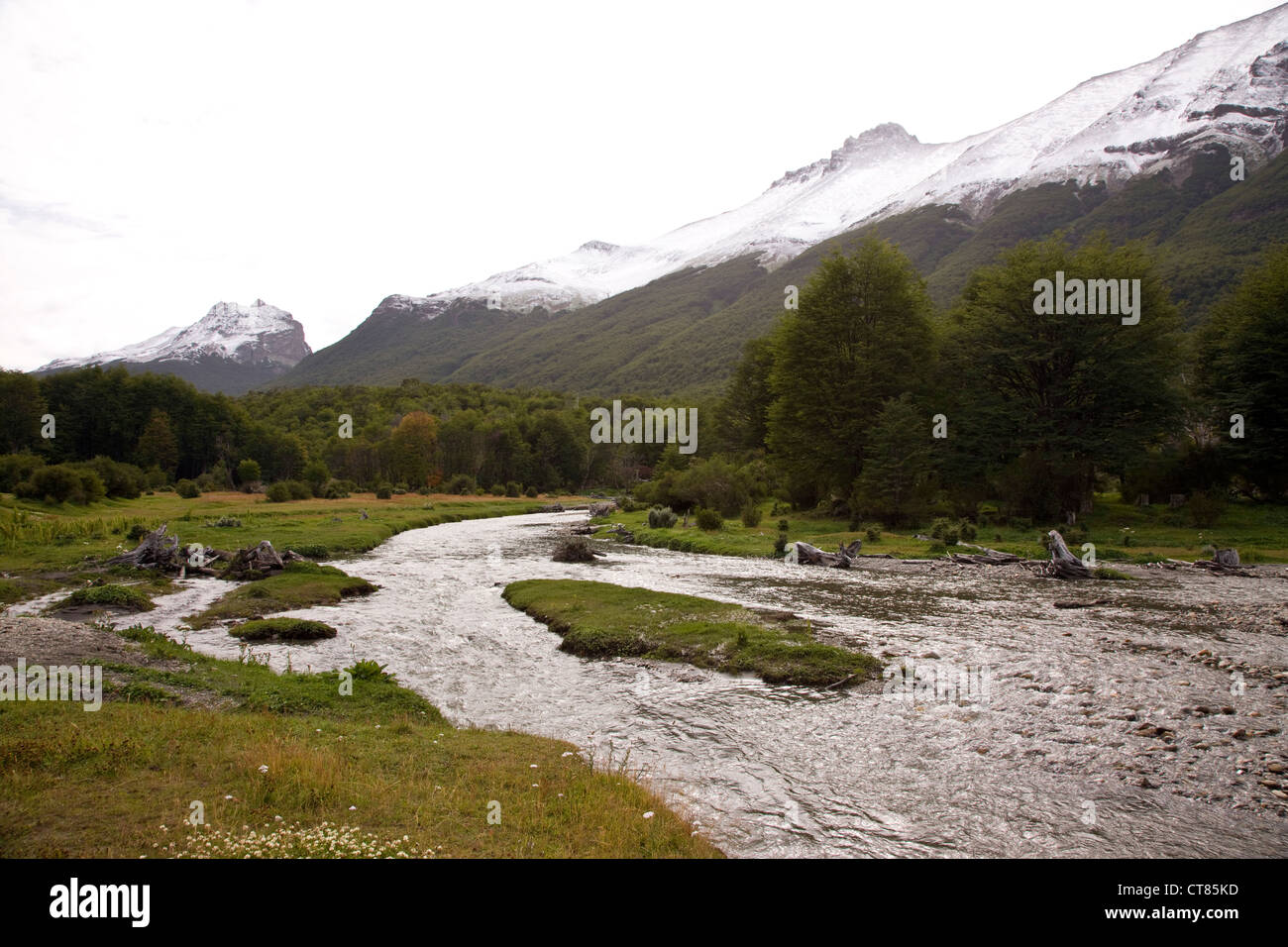 Pipo River in Parque Nacional Tierra del Fuego Stock Photo