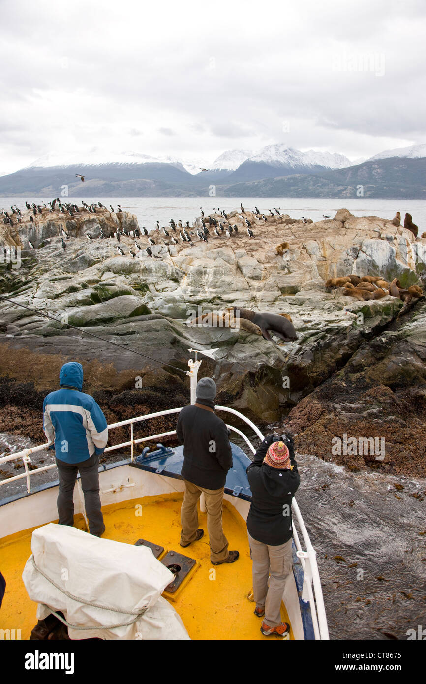 Viewing the Isla de los Lobos in the Beagle Channel from The Barracuda boat Stock Photo