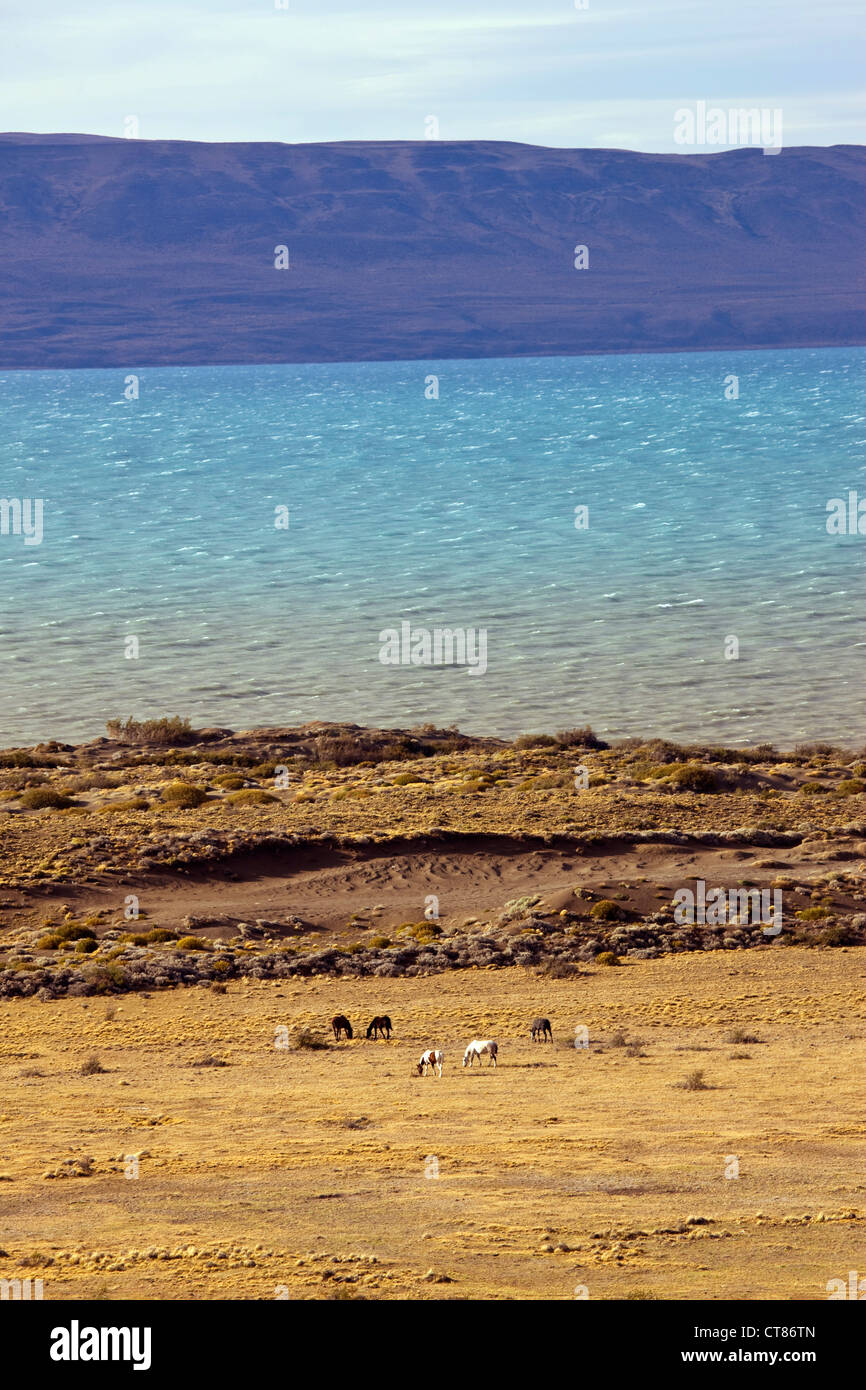 Lago Argentino Stock Photo