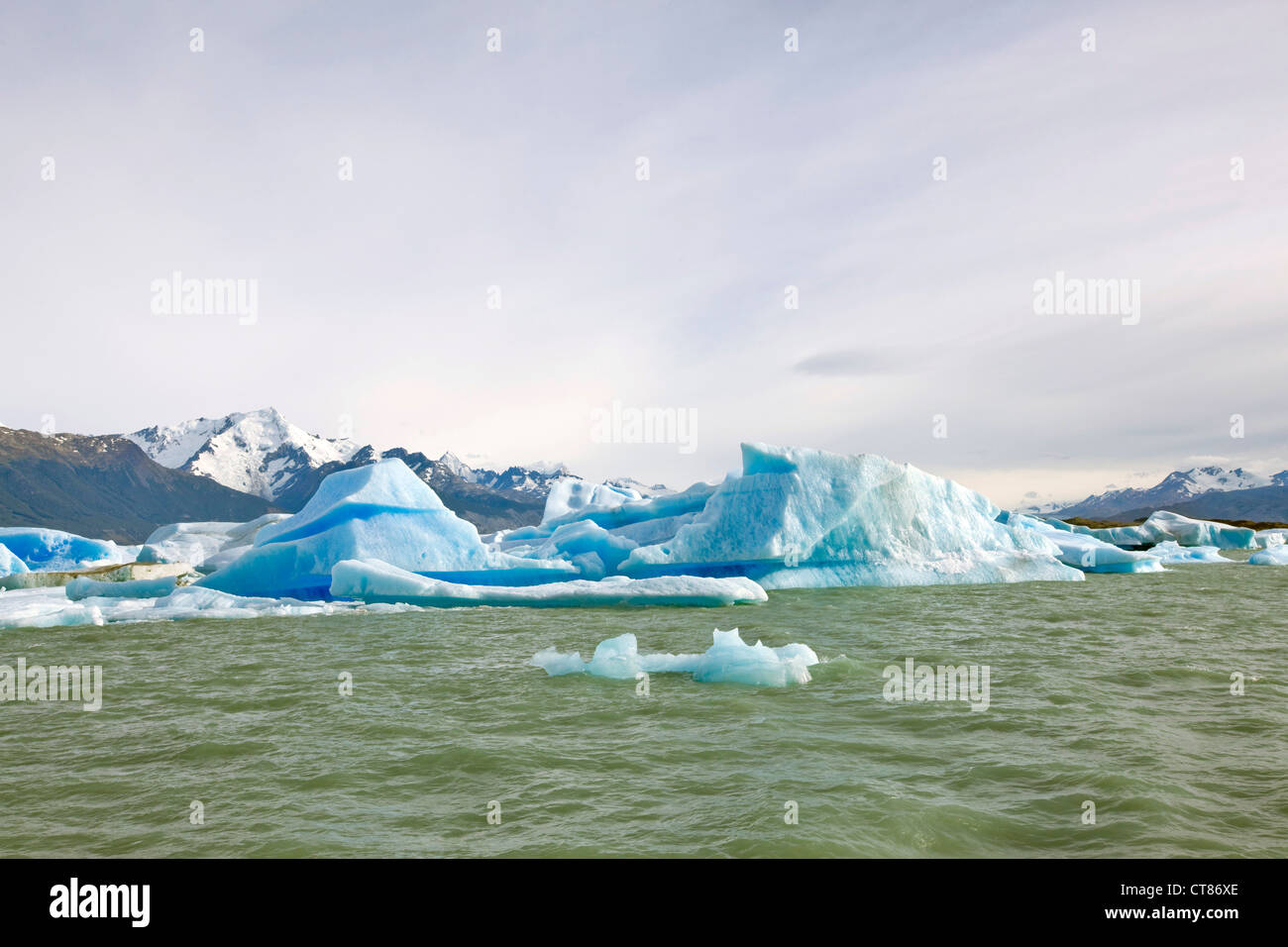 Icebergs blocking the Brazo Upsala in Lago Argentino Stock Photo