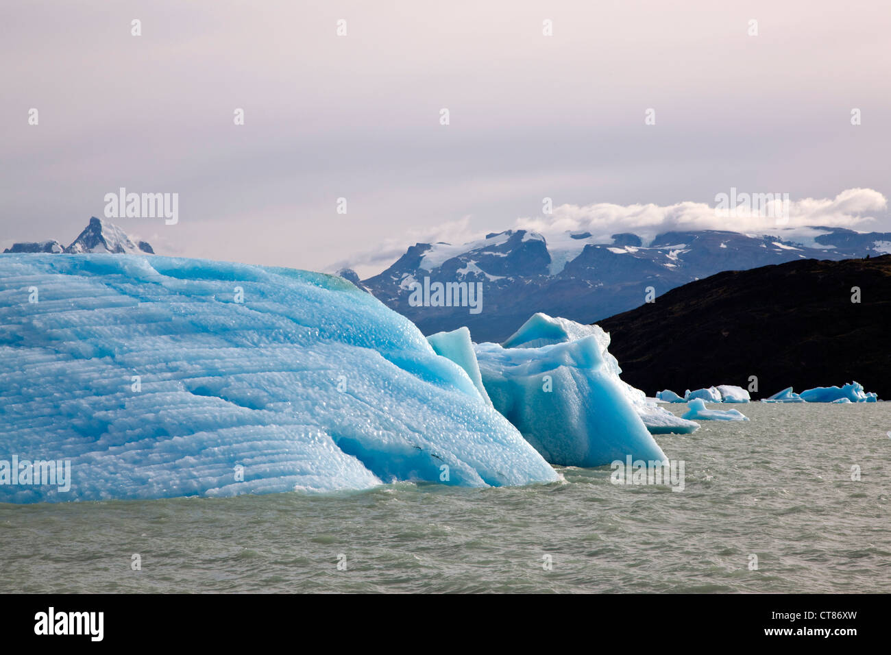 Icebergs blocking the Brazo Upsala in Lago Argentino Stock Photo