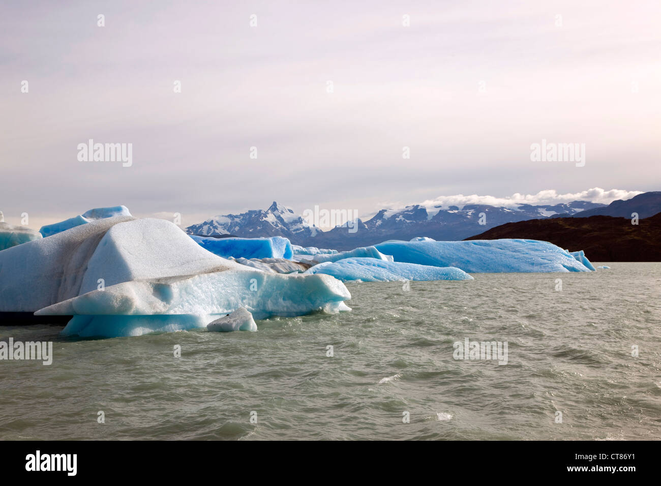 Icebergs blocking the Brazo Upsala in Lago Argentino Stock Photo