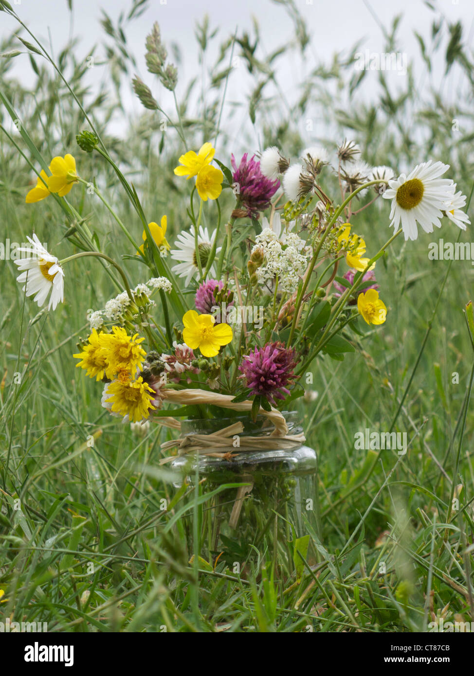 Jam jar of wild flowers on grass in farmland Stock Photo