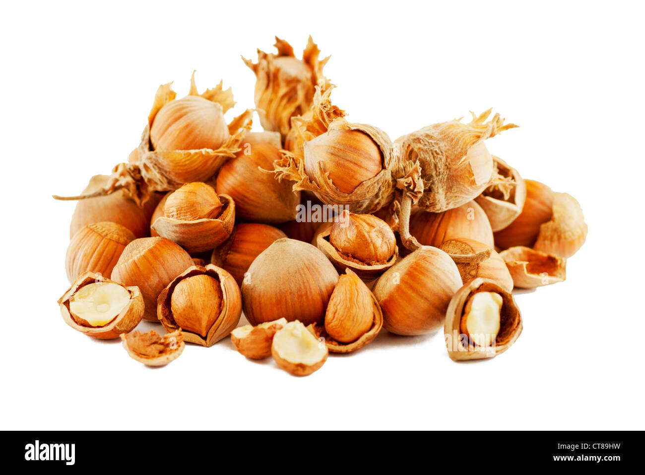 Composition of dried raw hazelnuts in shell, husks, cracked, and kernel Stock Photo