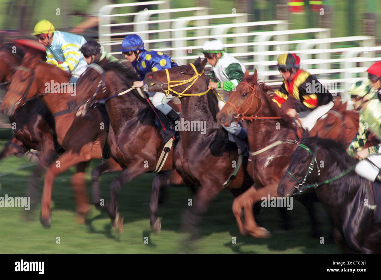 Symbol photo, race horses at the start Stock Photo
