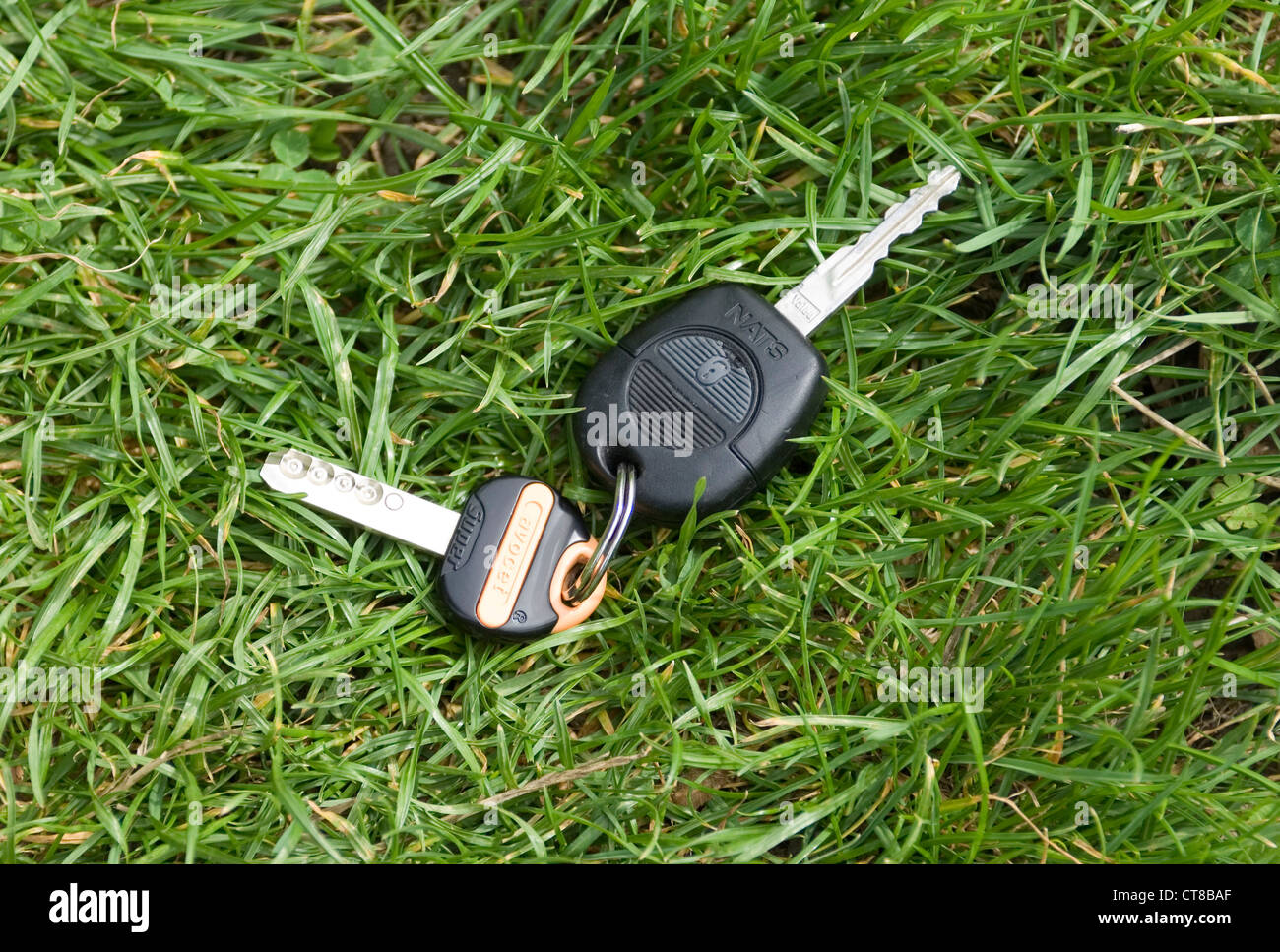 lost car key and house key on key ring in grass Stock Photo