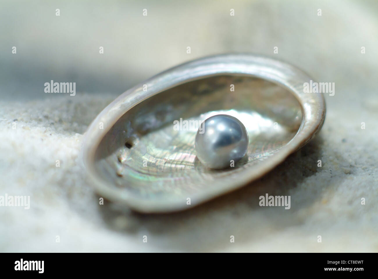 Shell with Pearl Stock Photo - Alamy