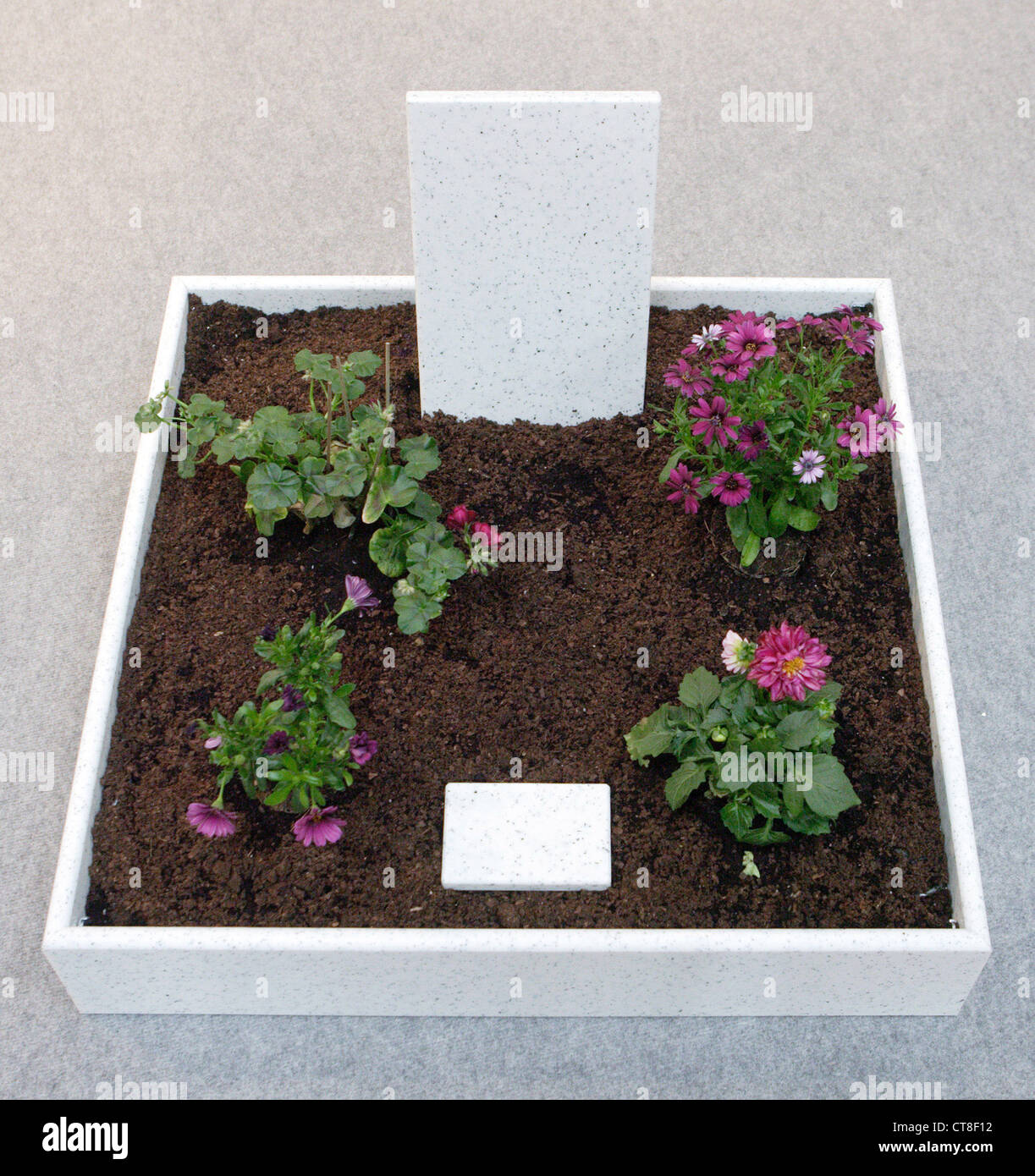 Neutral grave with no name Stock Photo Alamy