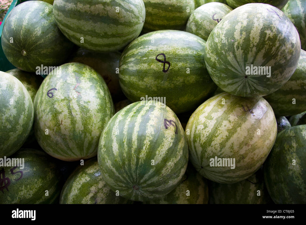Watermelons for sale at farmer's market Stock Photo Alamy