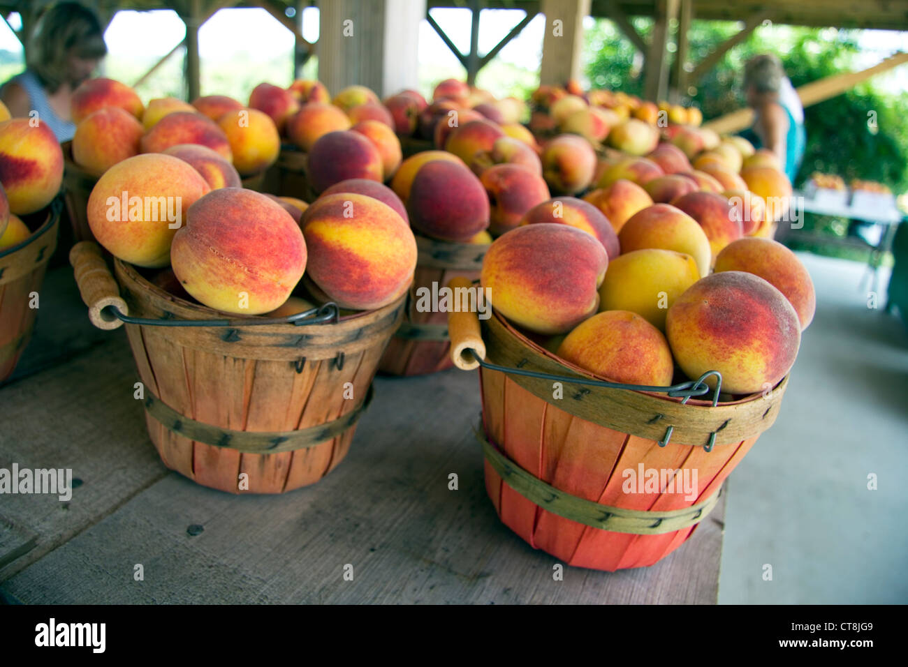 Fredericksburg texas peach hires stock photography and images Alamy